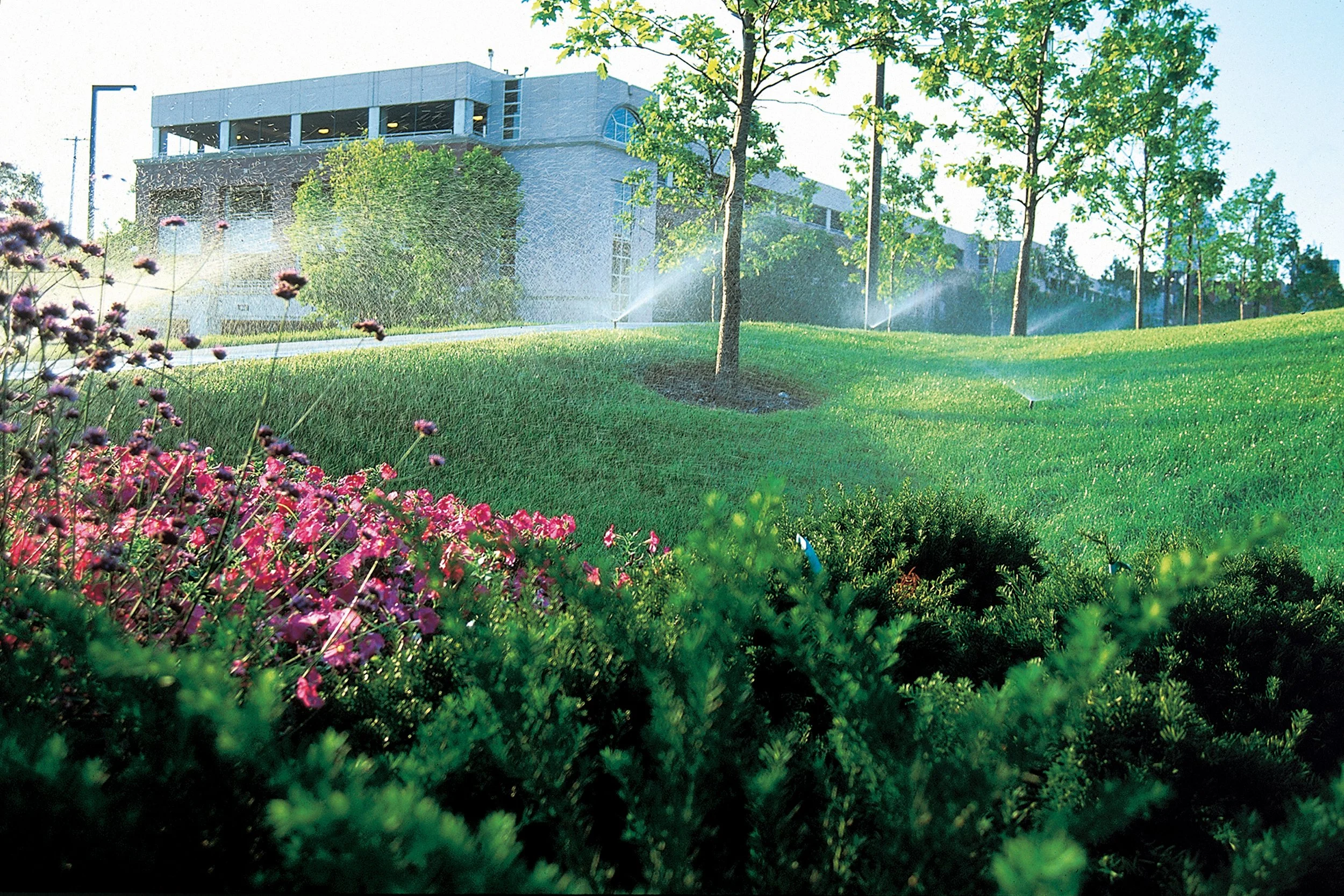 Commercial property serviced by SMART Watering Systems