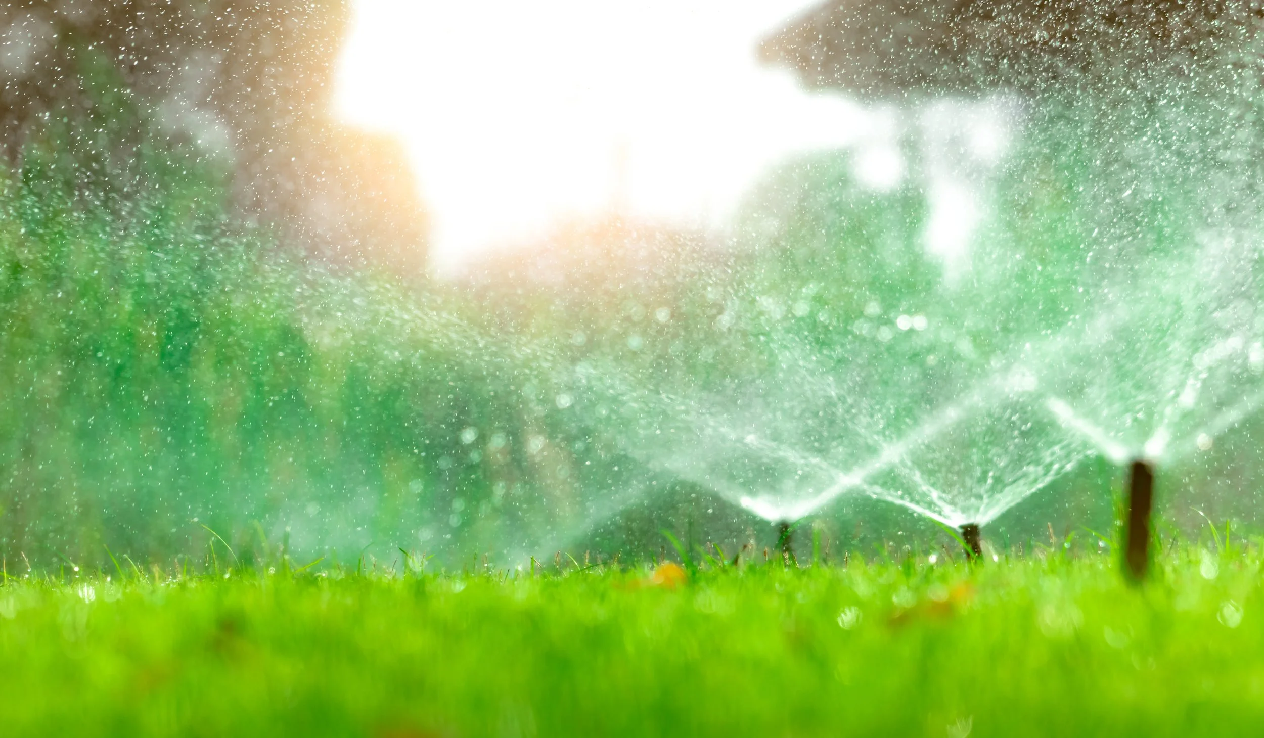 [ALT: residential property with irrigation running]