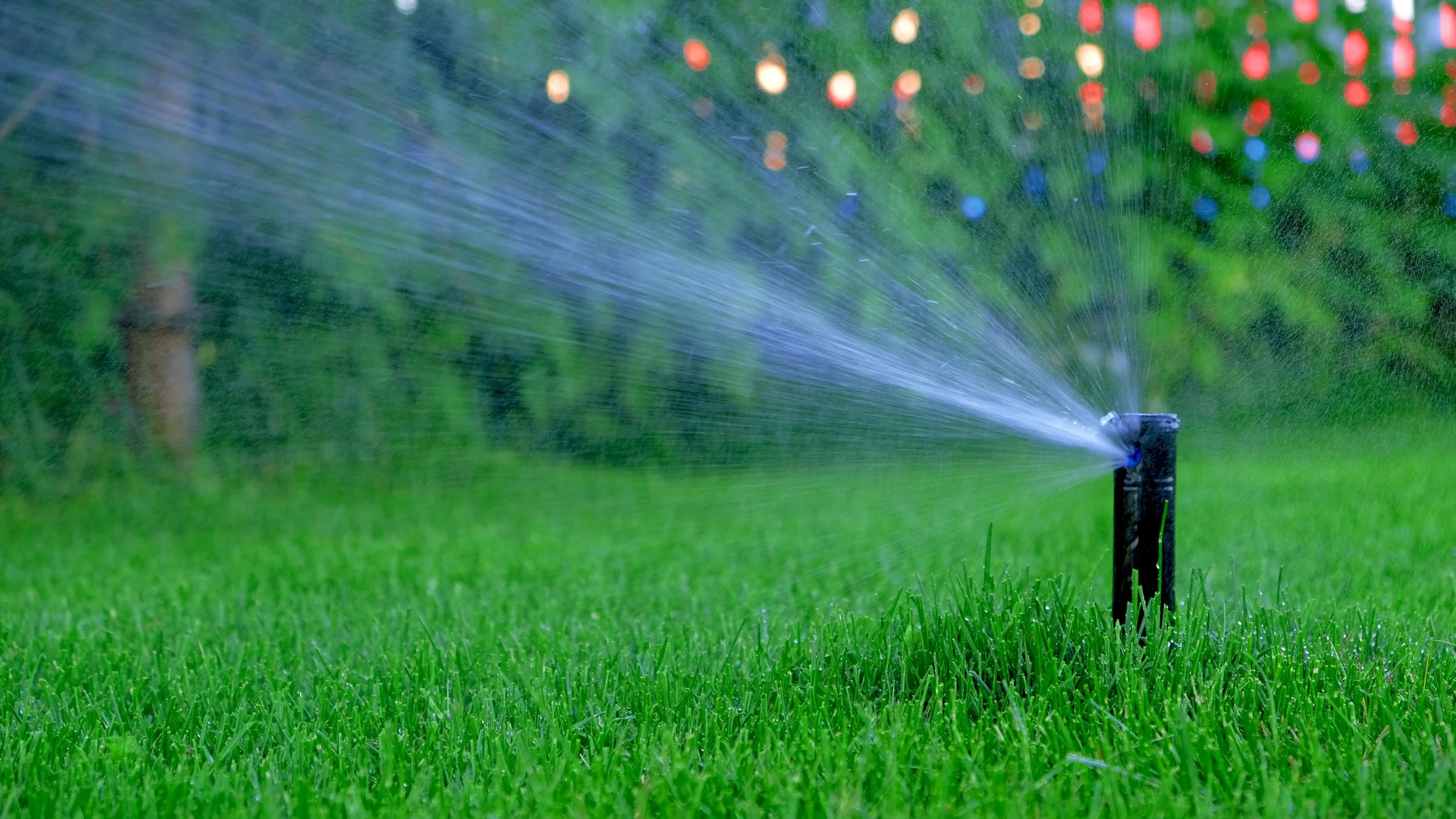 residential lawn with in-ground sprinklers running