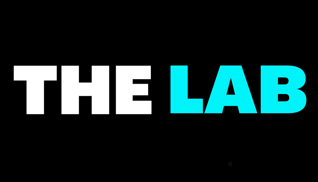 The Lab Basketball Training LLC logo