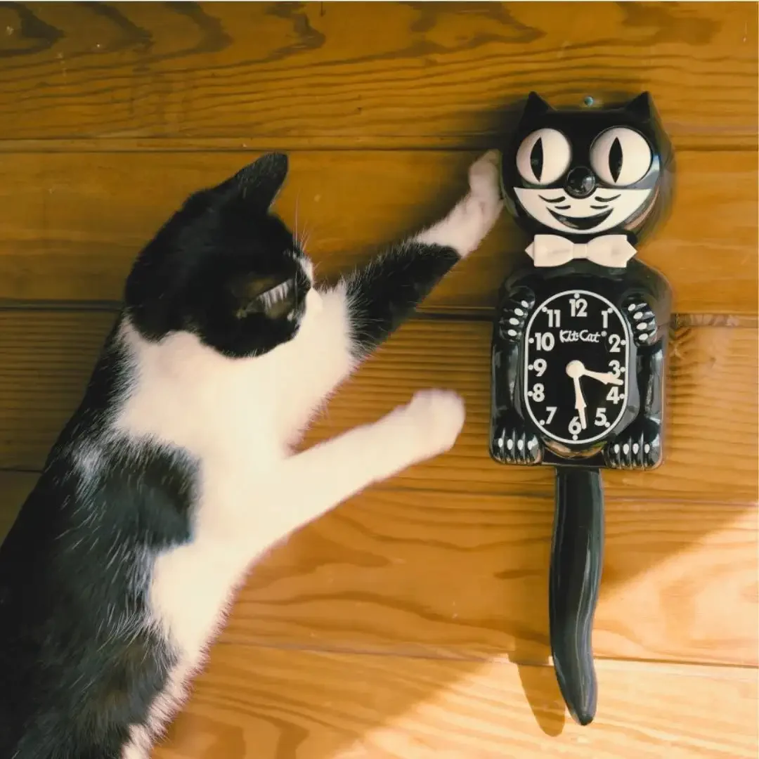 Kit-Cat Klock styled as a playful vintage wall clock for the home selected by Goosebump Hong Kong