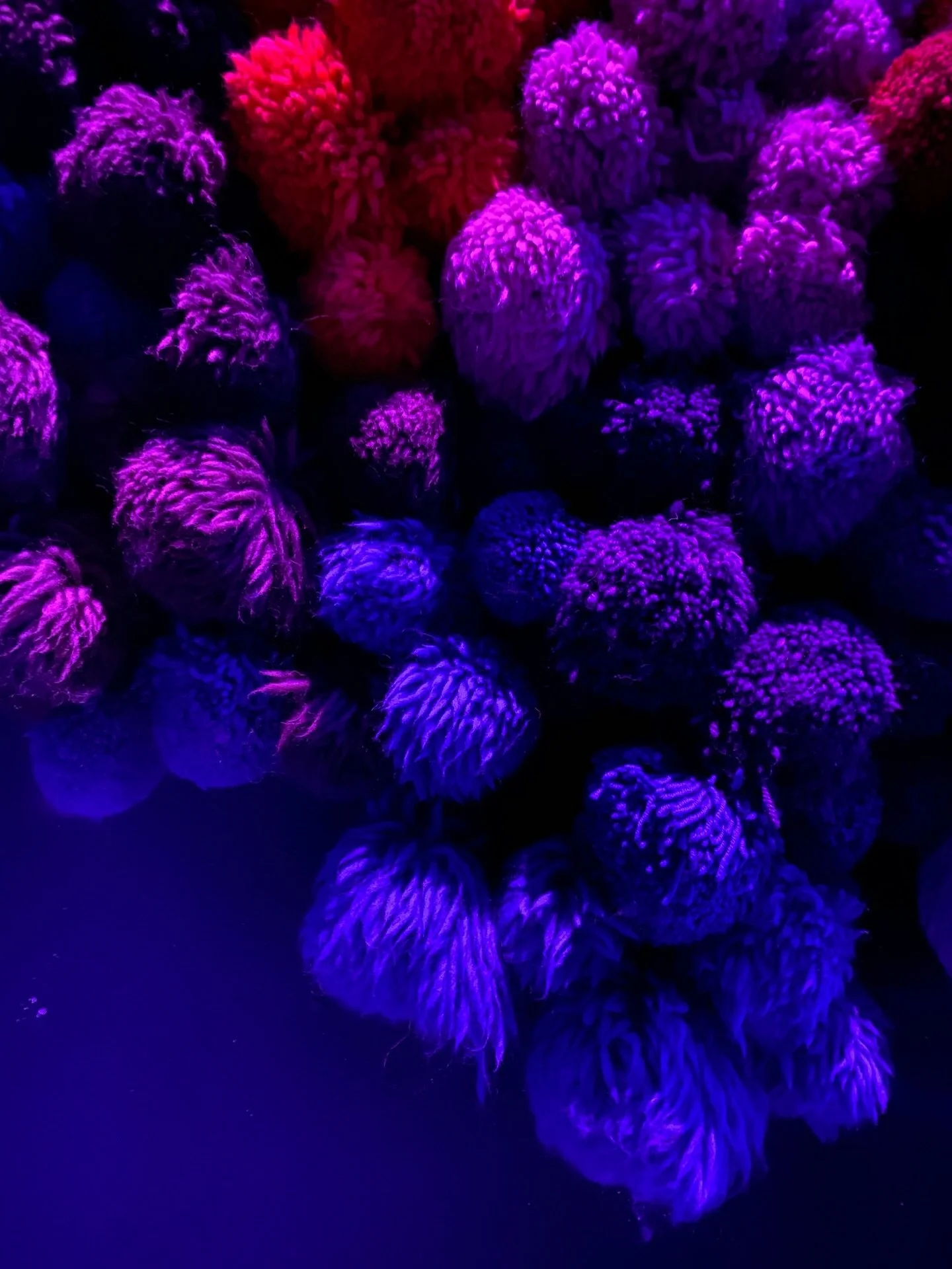 Purple and magenta textured installation at Meow Wolf Convergence Station.