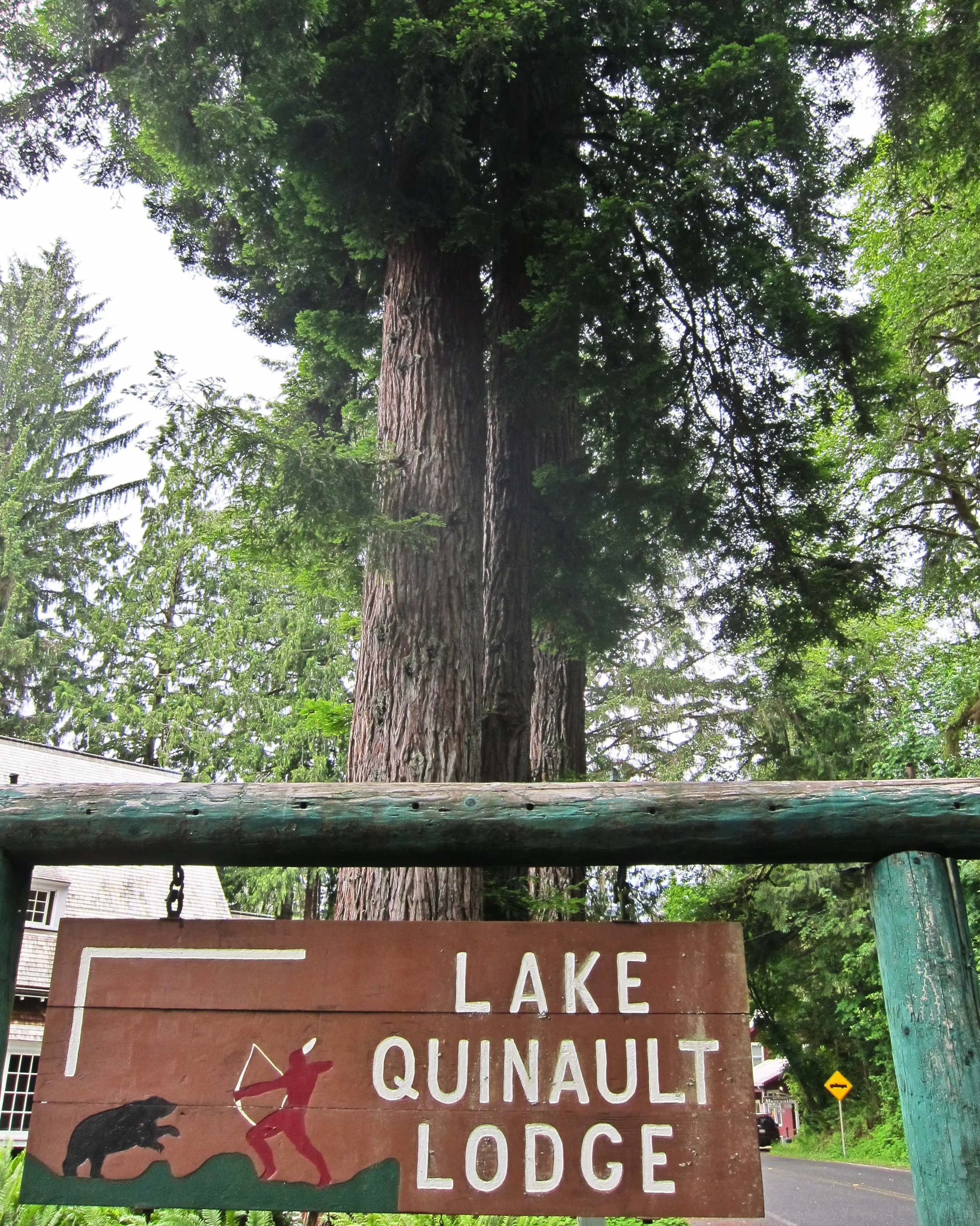Lake Quinault Lodge sign beneath large trees and timber railings.