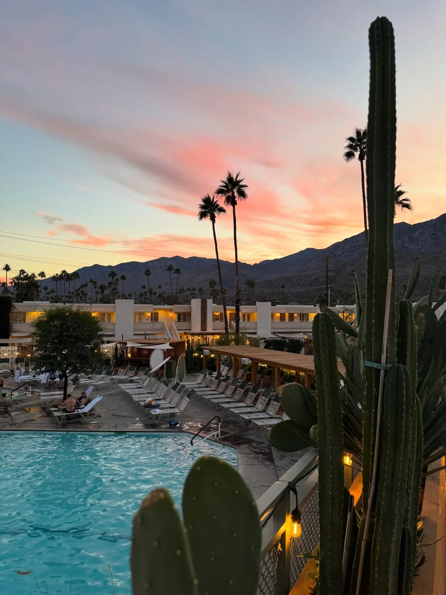 Palm Springs pool and tall cactus beneath a pink sunset sky.
