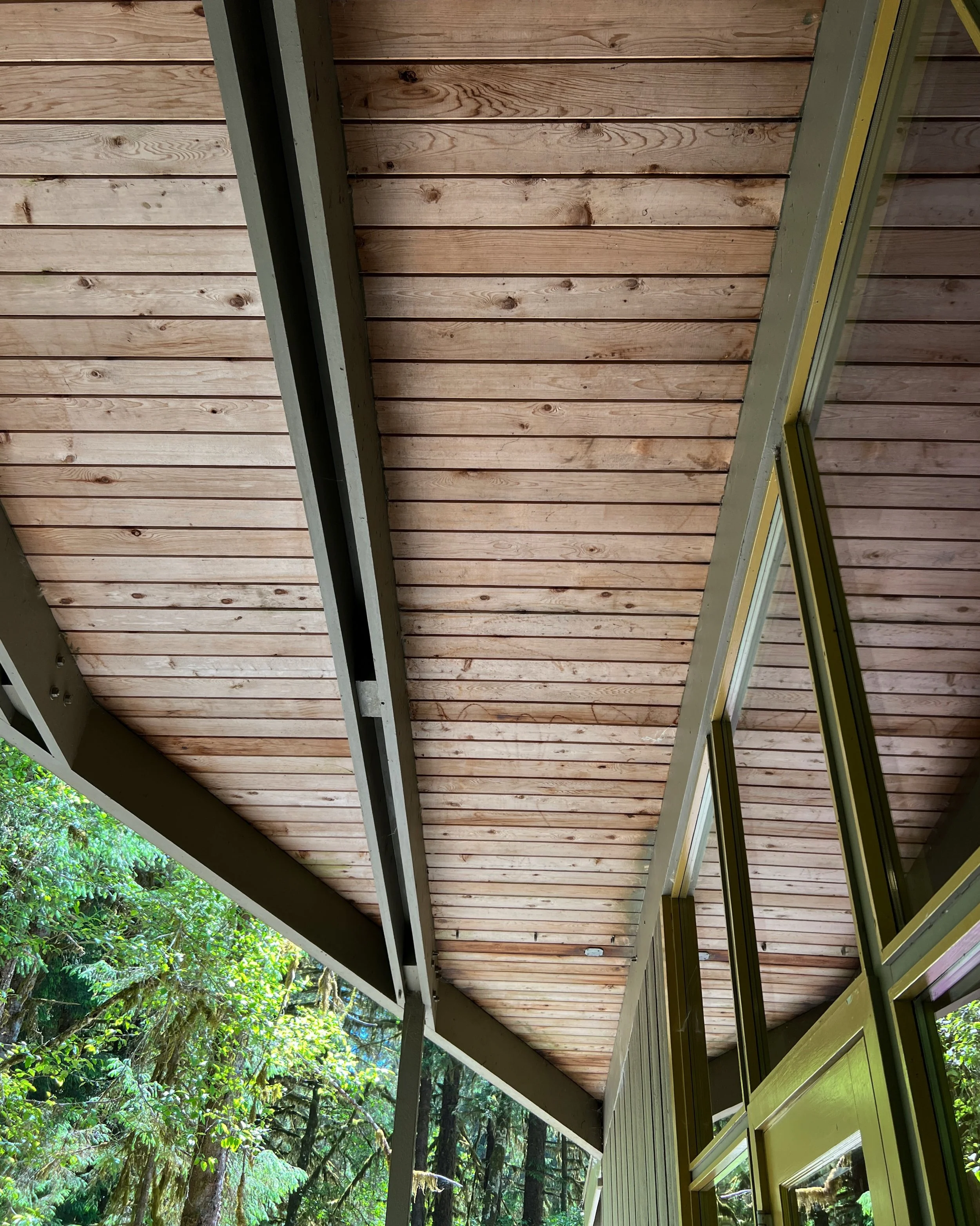 Weathered wood porch ceiling with exposed rafters and forest greenery beyond.