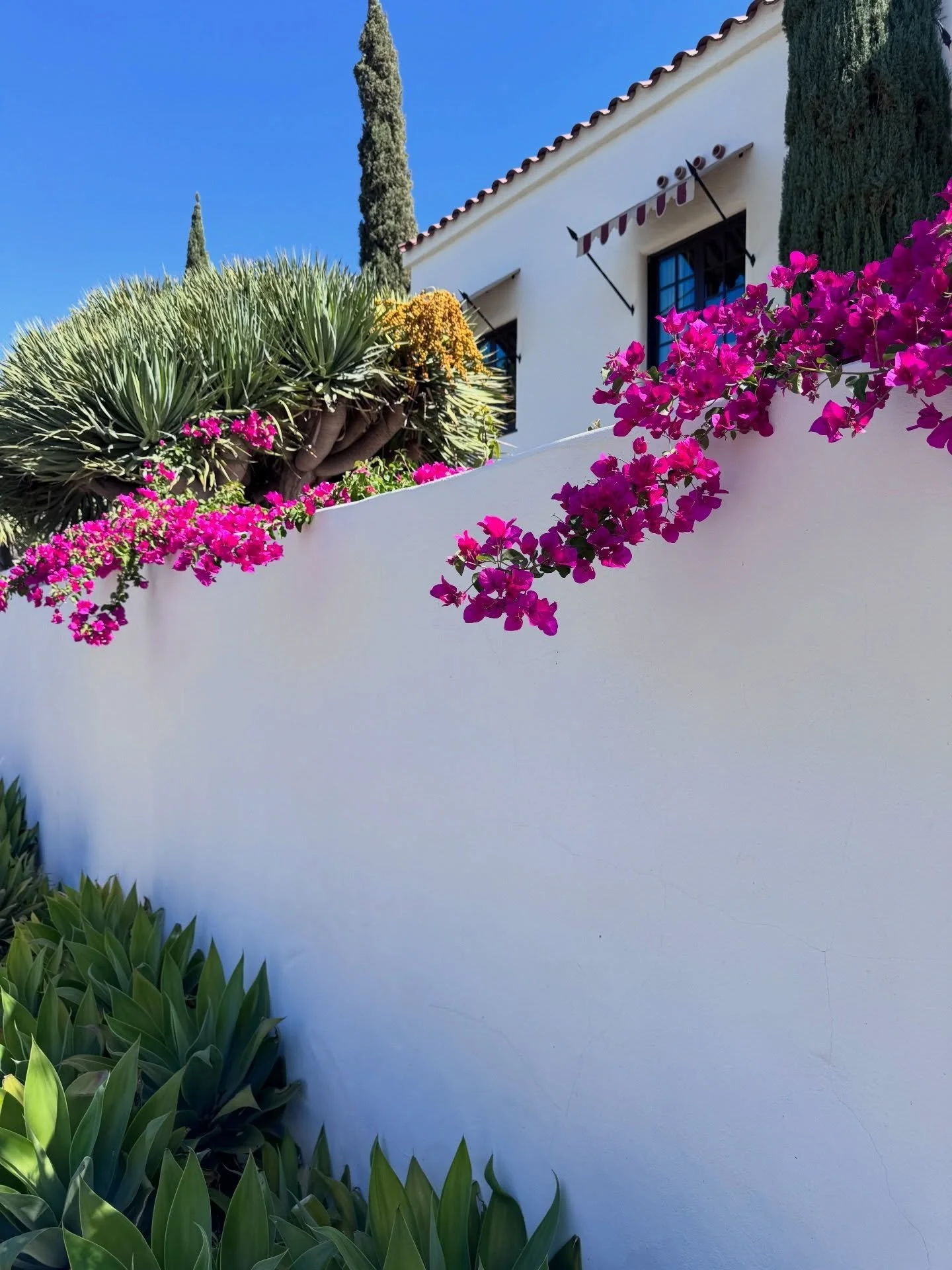 White stucco building with bougainvillea, cactus, timber details, and blue sky at The Roblar in Ojai.