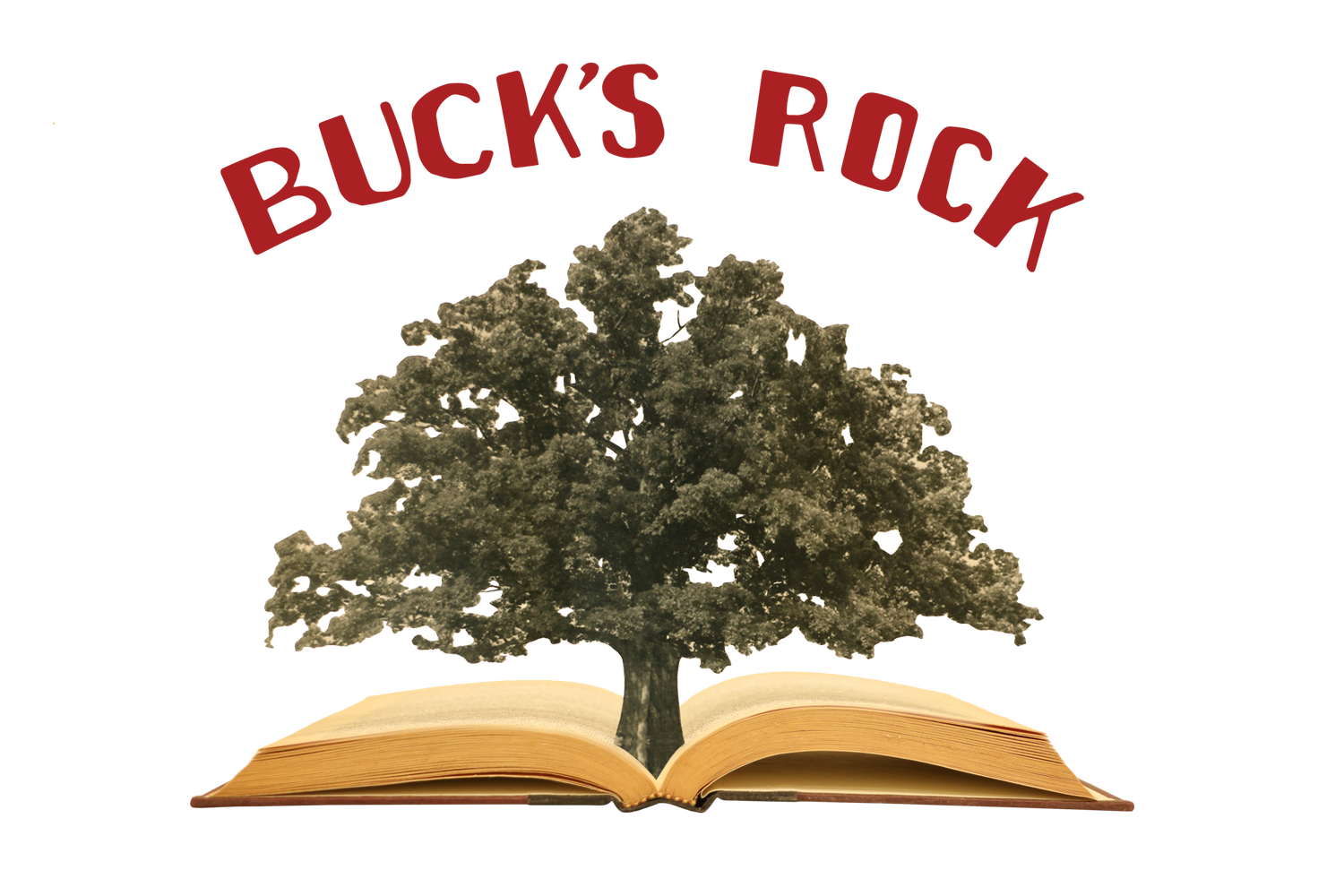 Buck's Rock Performing and Creative Arts Camp logo