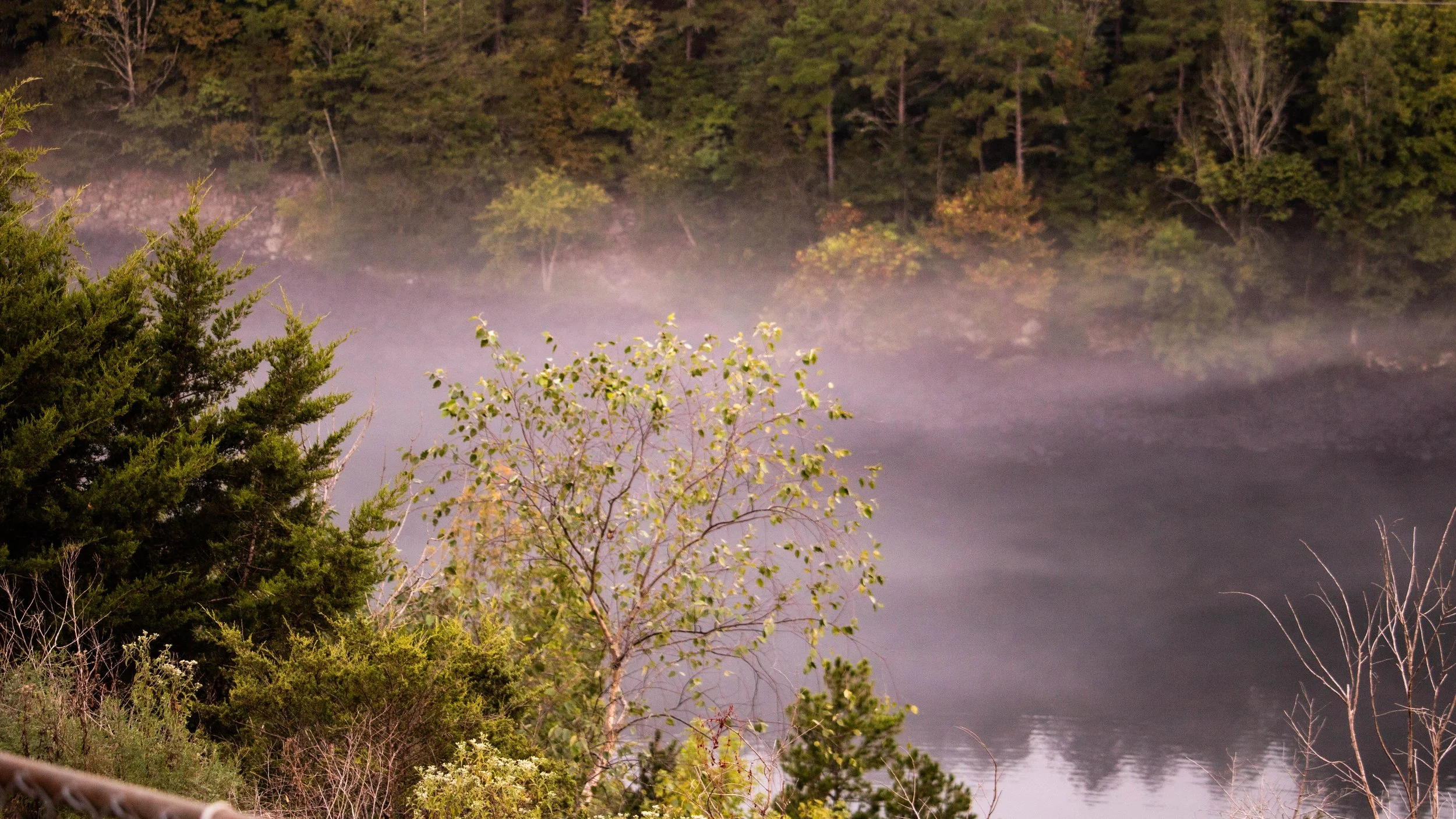 Morning fog rising over the trees along the Little Red River