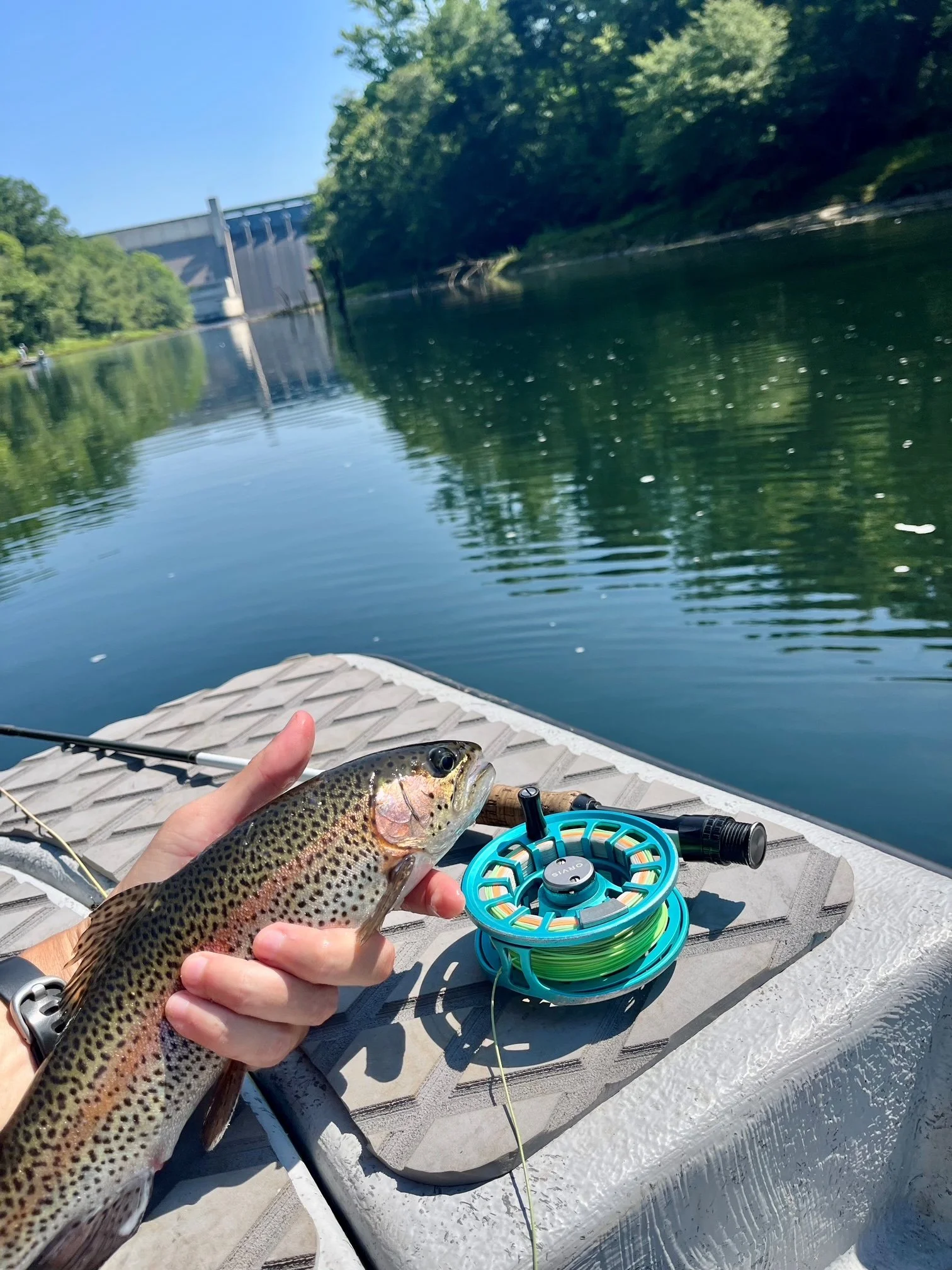 Trout and fly fishing reel on boat with dam in background