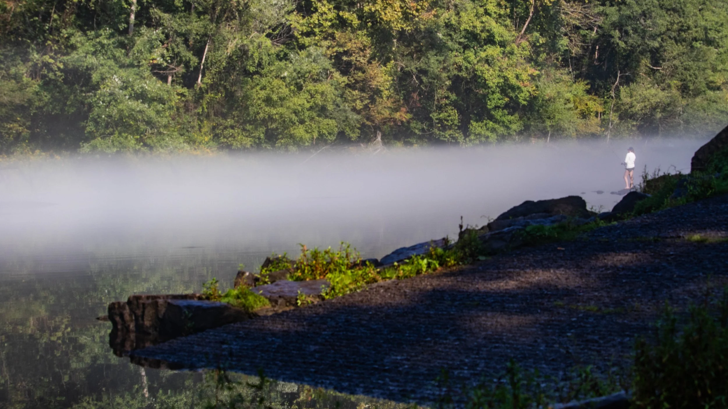 Misty morning over the Little Red River bank