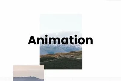 animate-on-scroll