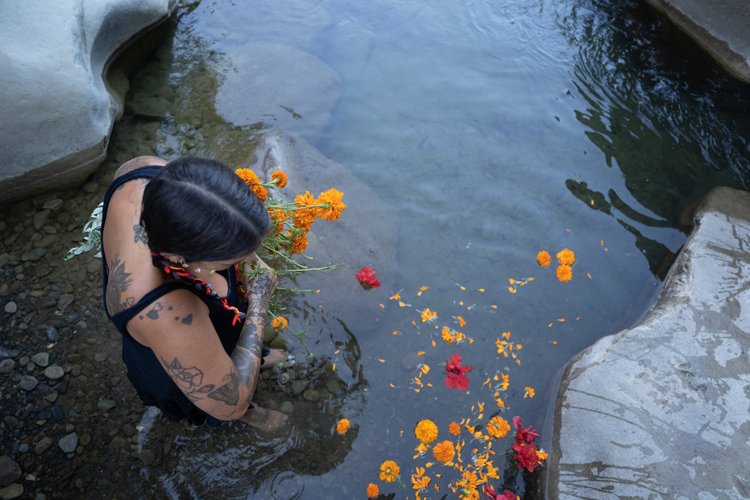 Flower offering on water