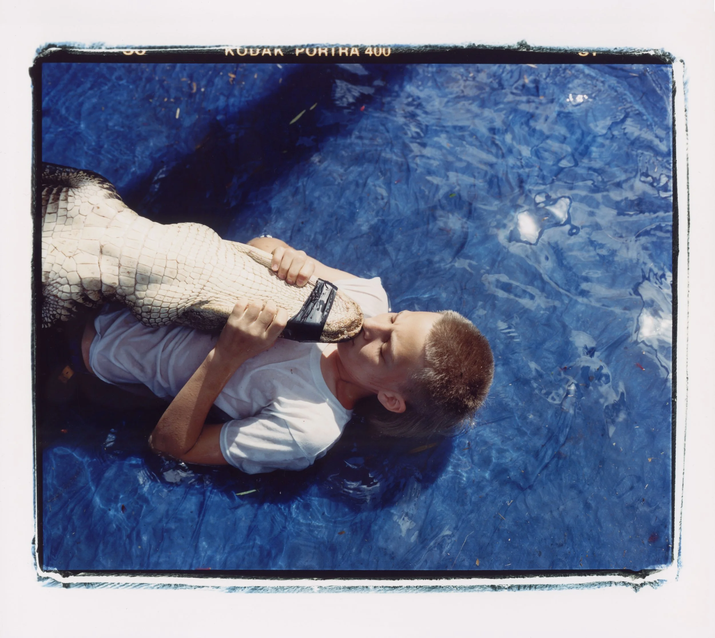 Jonah and the Gator