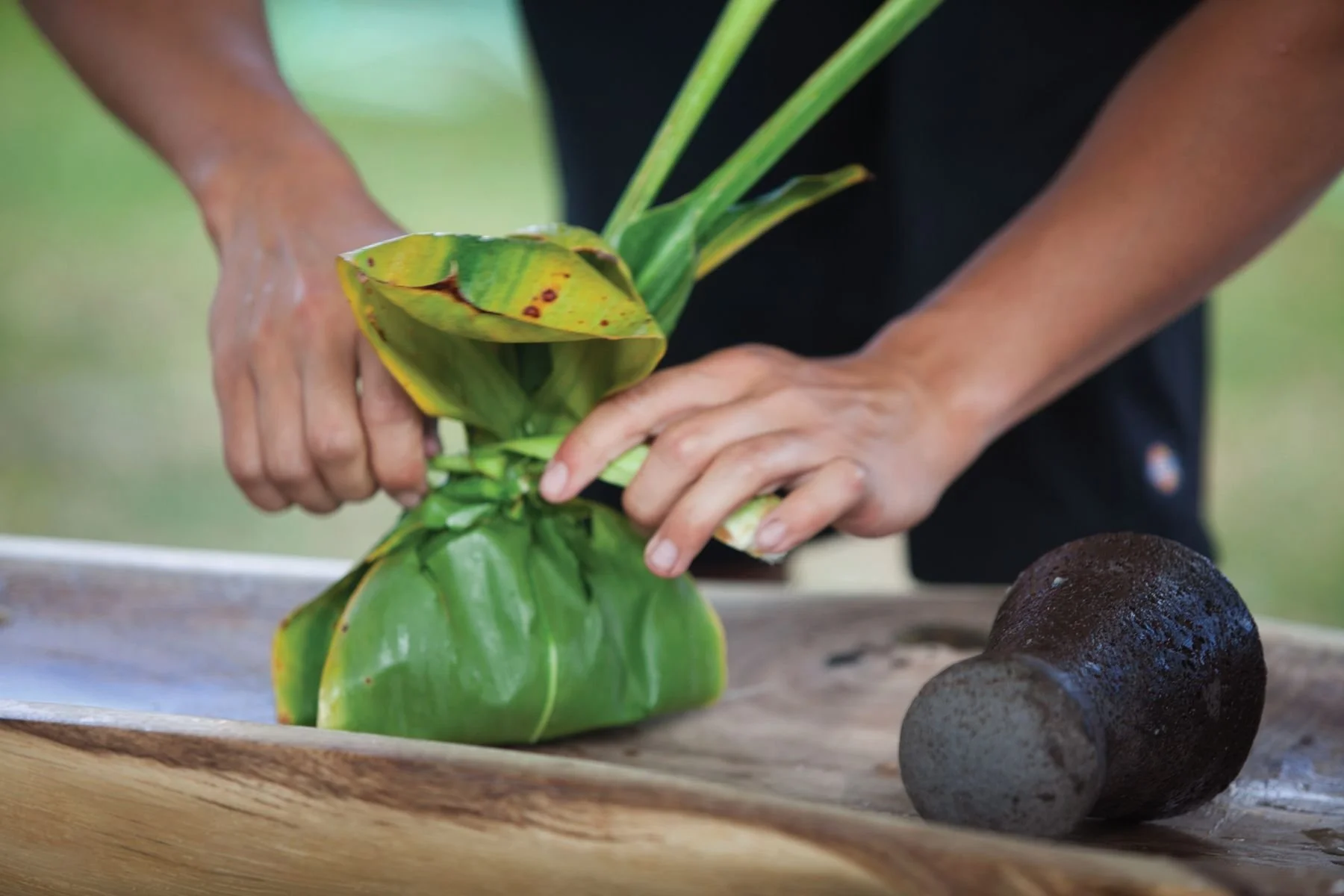 Hands wrapping food in ti leaves beside a traditional Hawaiian stone pounder