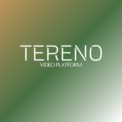 Video Platform