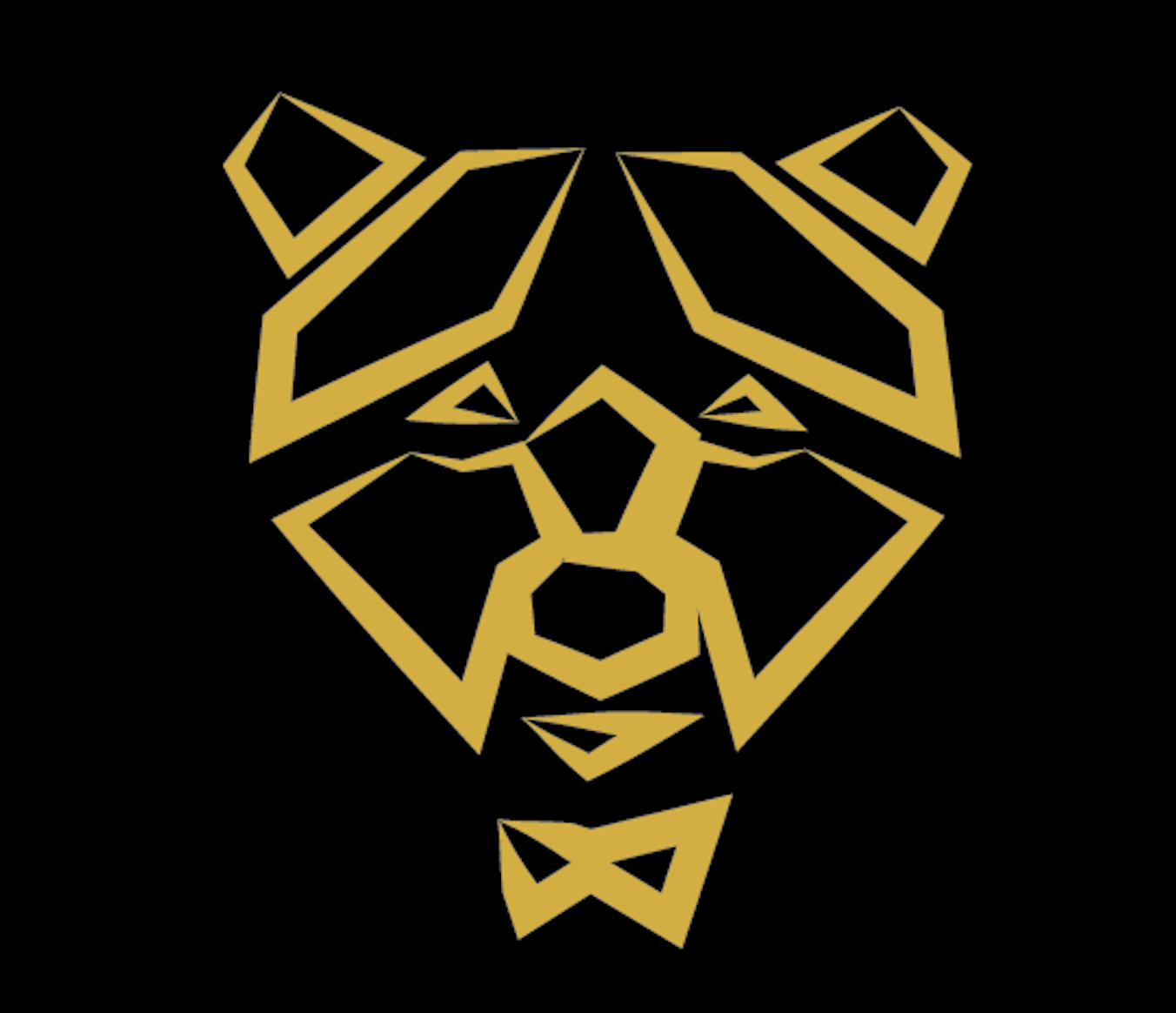 The Retrobear
