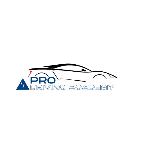 Pro Driving Academy