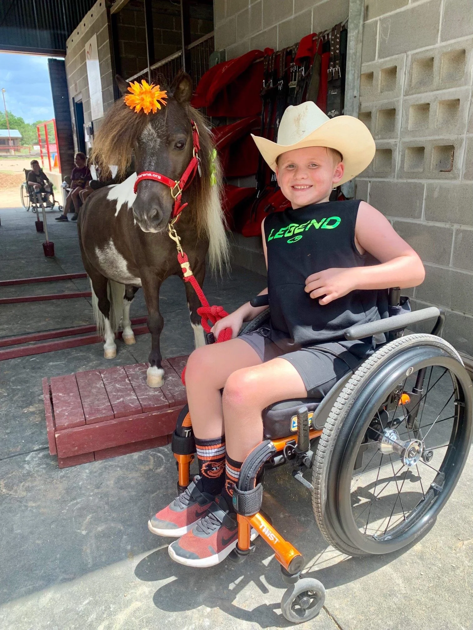 [WRITE TO IMAGE — Will with a pony; describe what's actually in the frame]