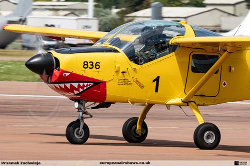Royal International Air Tattoo 2024 photograph 230