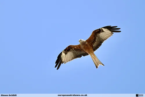 Shuttleworth Festival of Flight 2025 photograph 57
