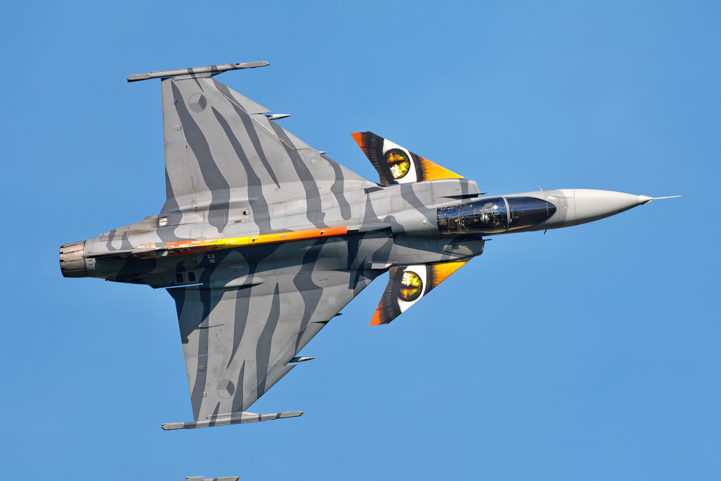 Czech Gripen Solo Display