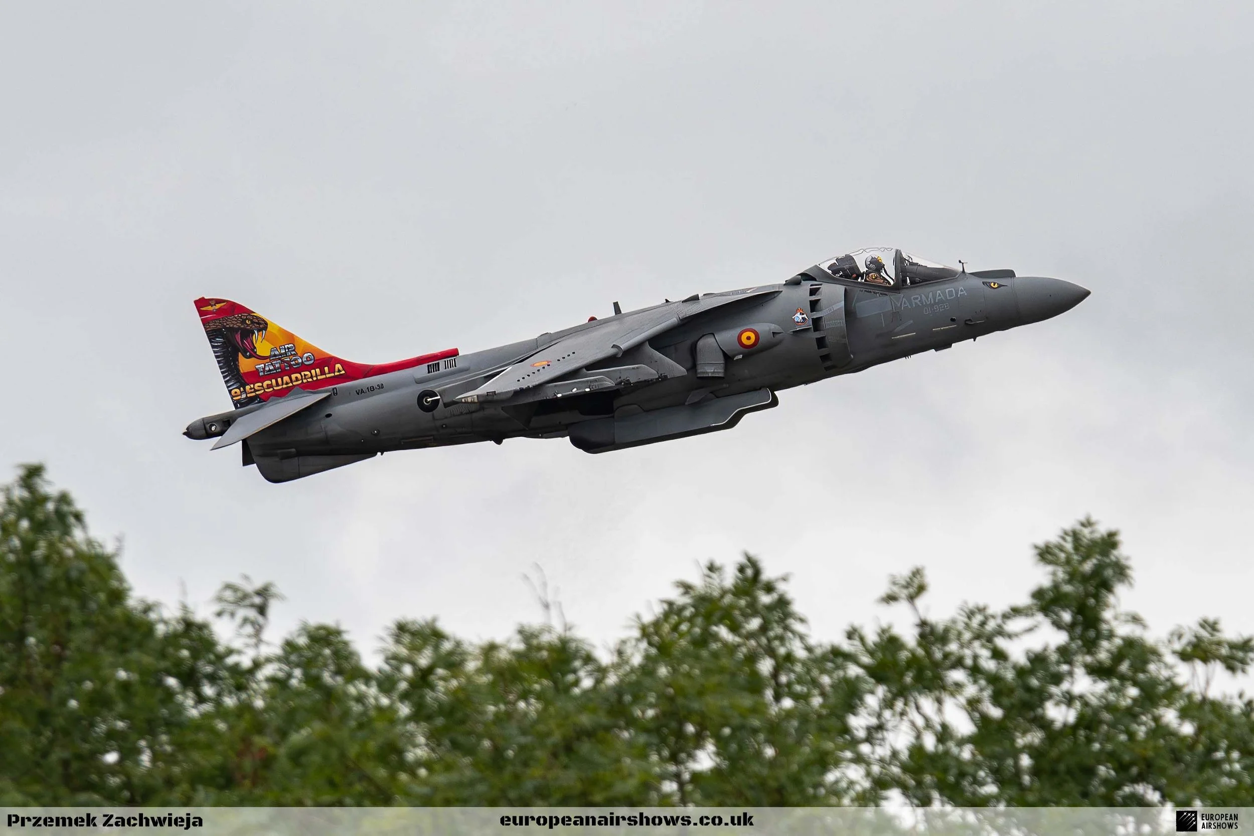 Spanish Navy AV-8B Harrier II Solo Display