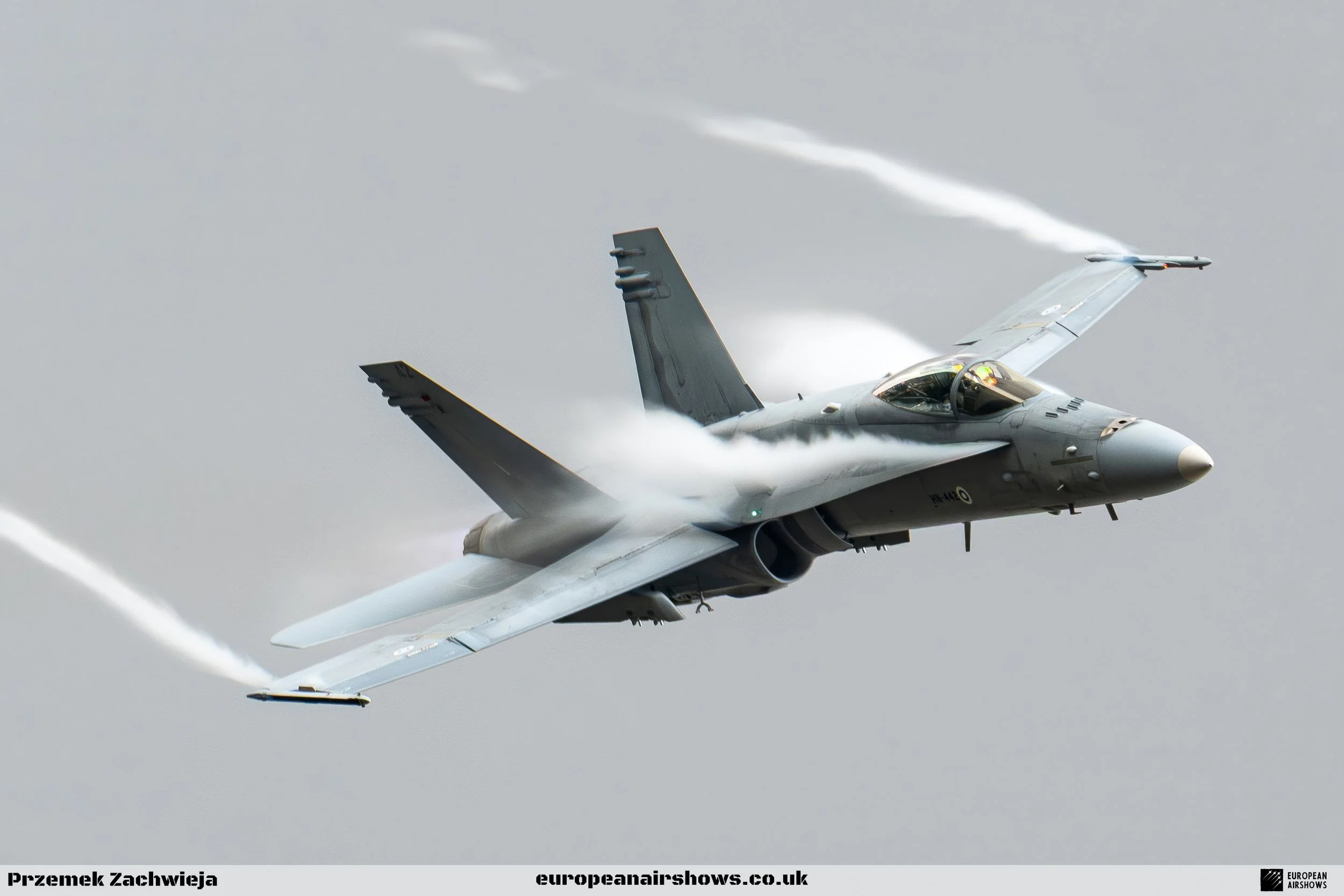 Finnish Air Force Hornet Solo Display