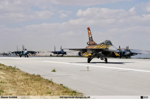 Anatolian Eagle Spotter Day 2025 photograph 52
