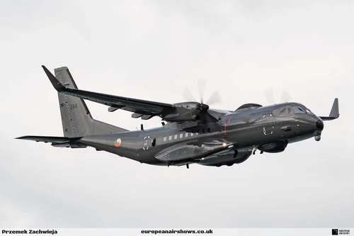Bray Air Display 2024 photograph 20