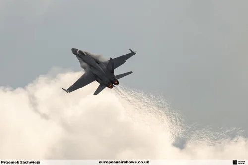 Swedish Air Force 100 Years at Malmen, Saturday, photograph 225