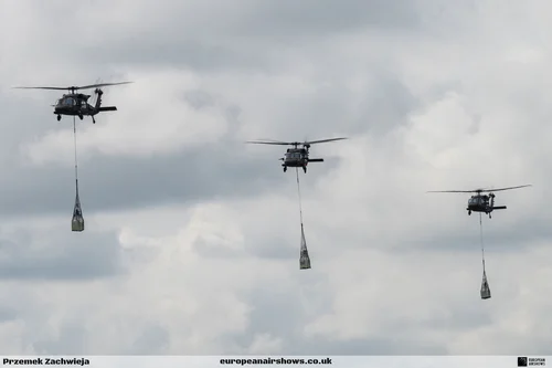 Swedish Air Force 100 Years at Malmen, Saturday, photograph 209