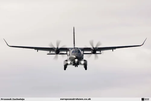 Bray Air Display 2024 photograph 12
