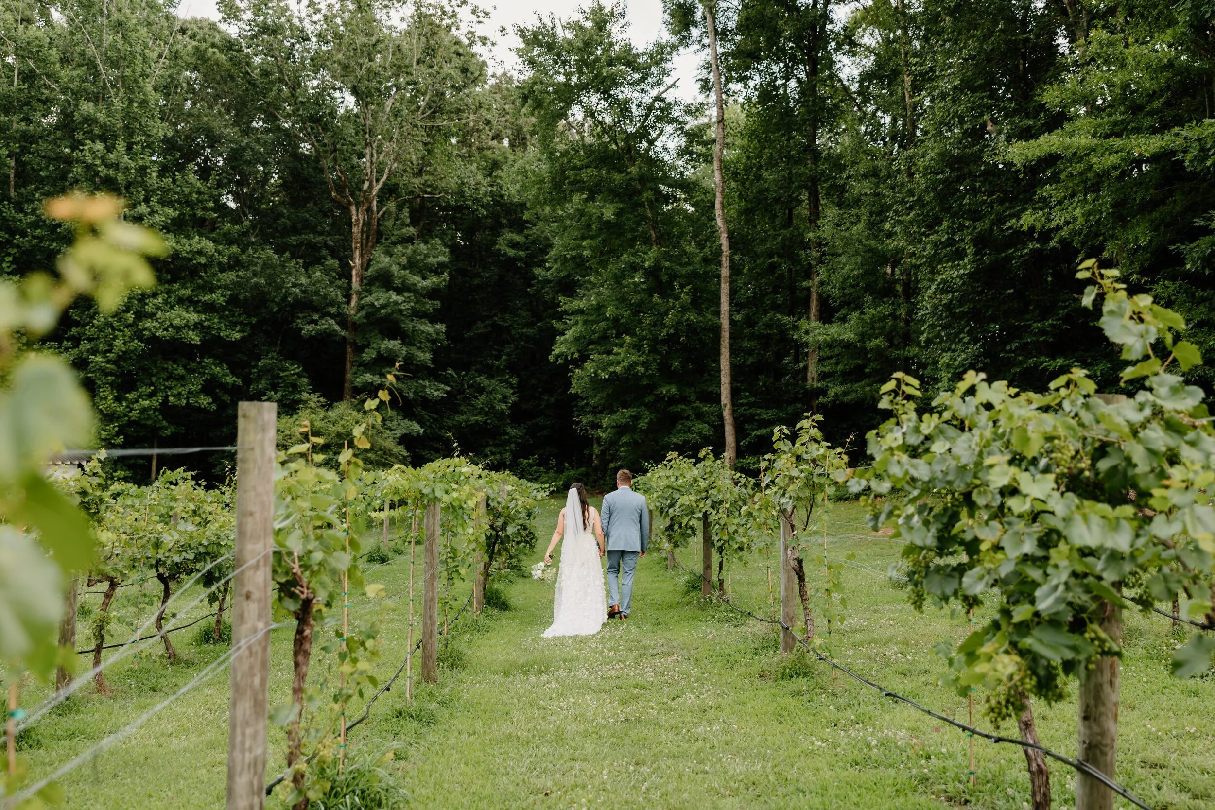 Couple walking the vineyard at Koury Farms