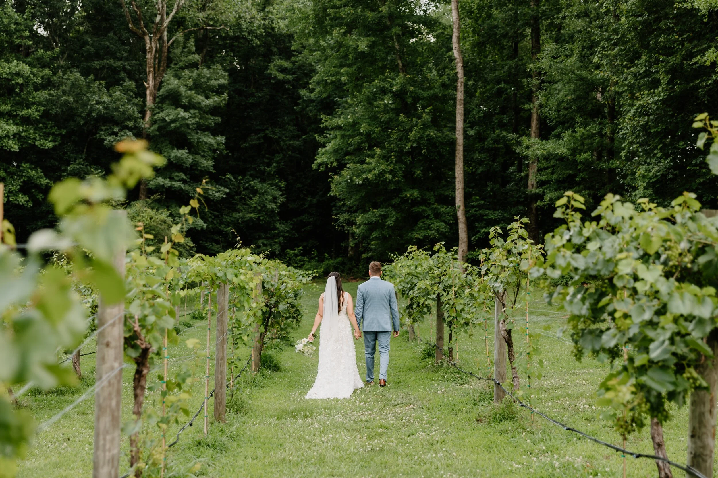Olivia and Jett walking the vineyard rows at Koury Farms