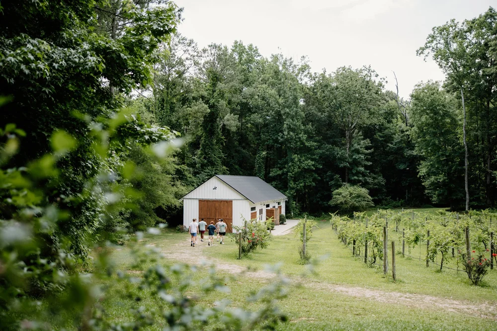 The barn across the field