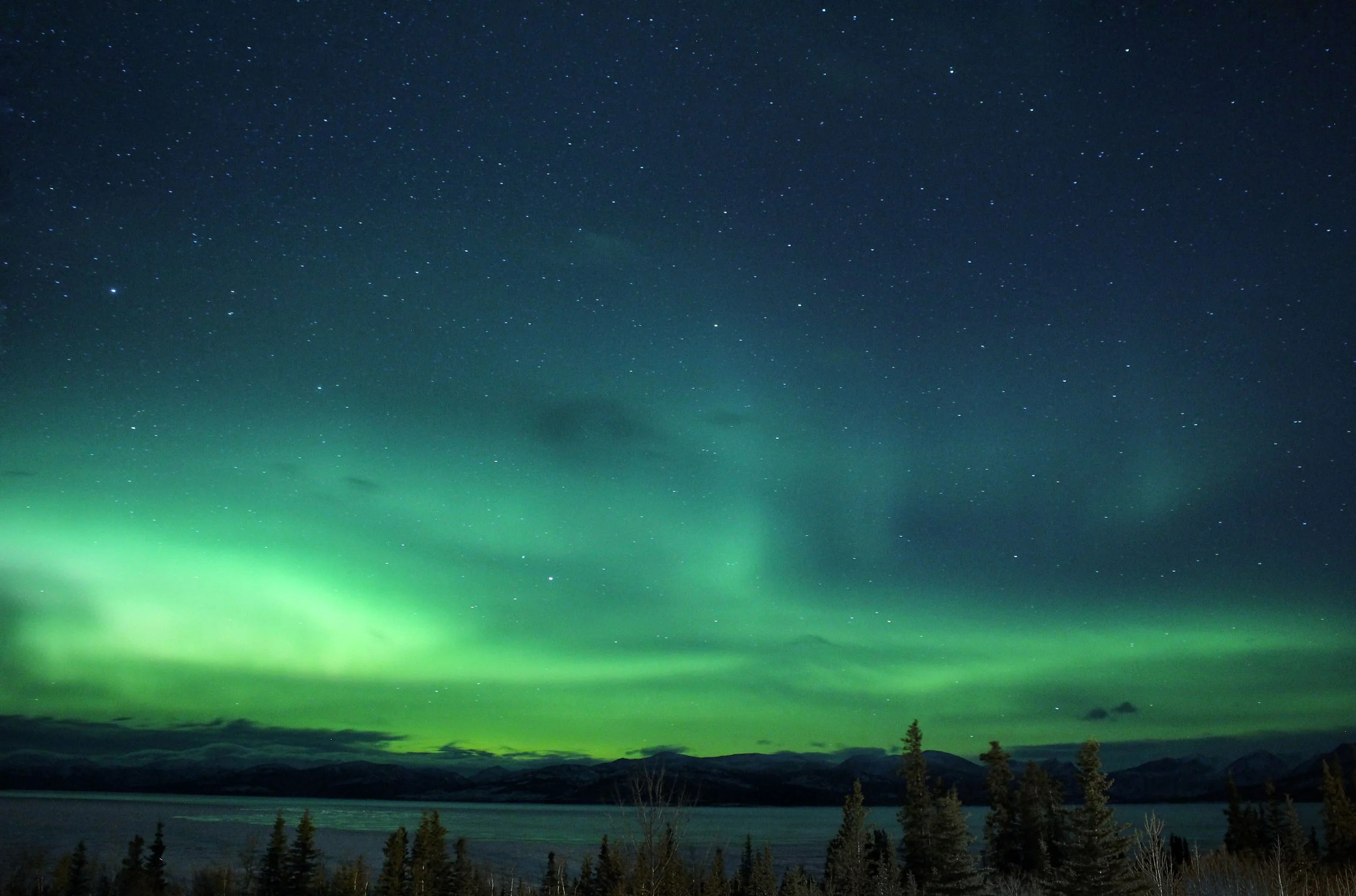 Aurora Borealis over the Yukon wilderness