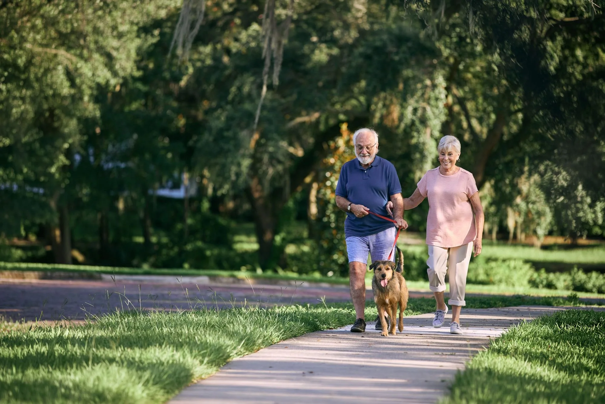 An older couple laughs as they walk their terrier on a tree-lined neighborhood path.