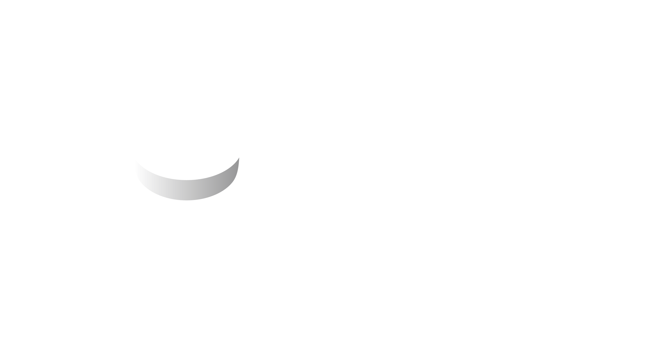 Cultural Academy for Excellence