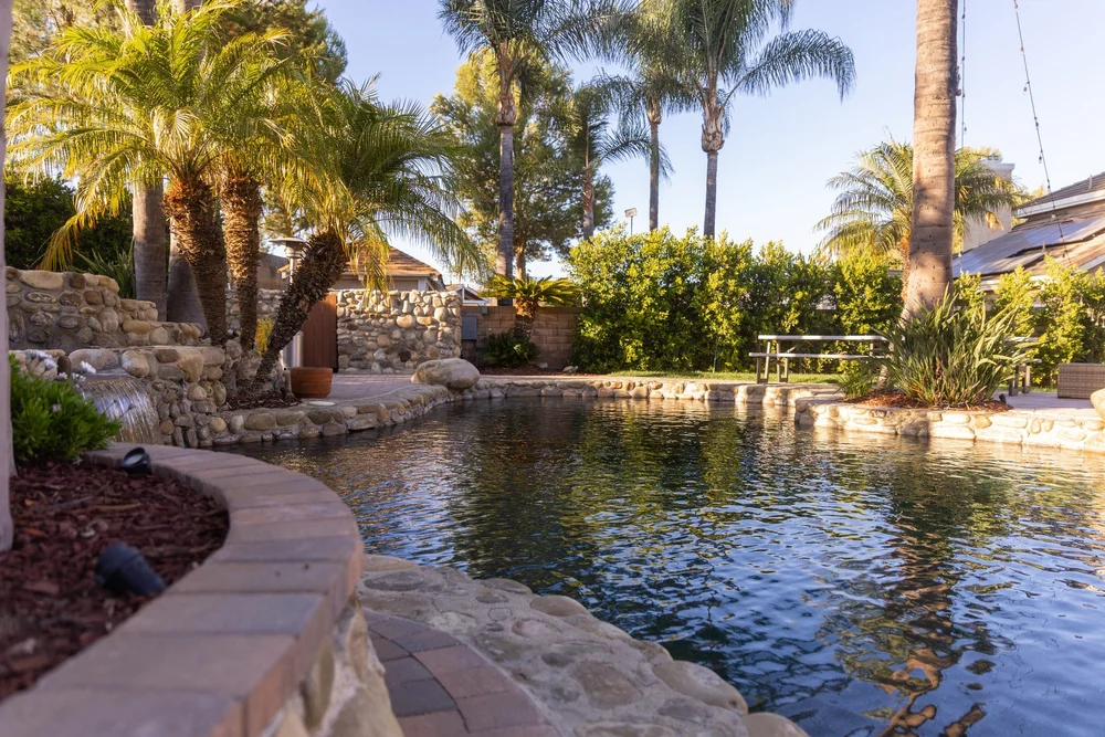 Hansen freeform pool with curved coping and palms