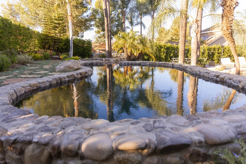 Curved stone edging and palm reflections in the water.