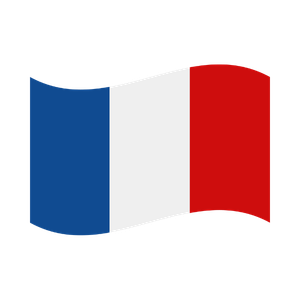 French flag