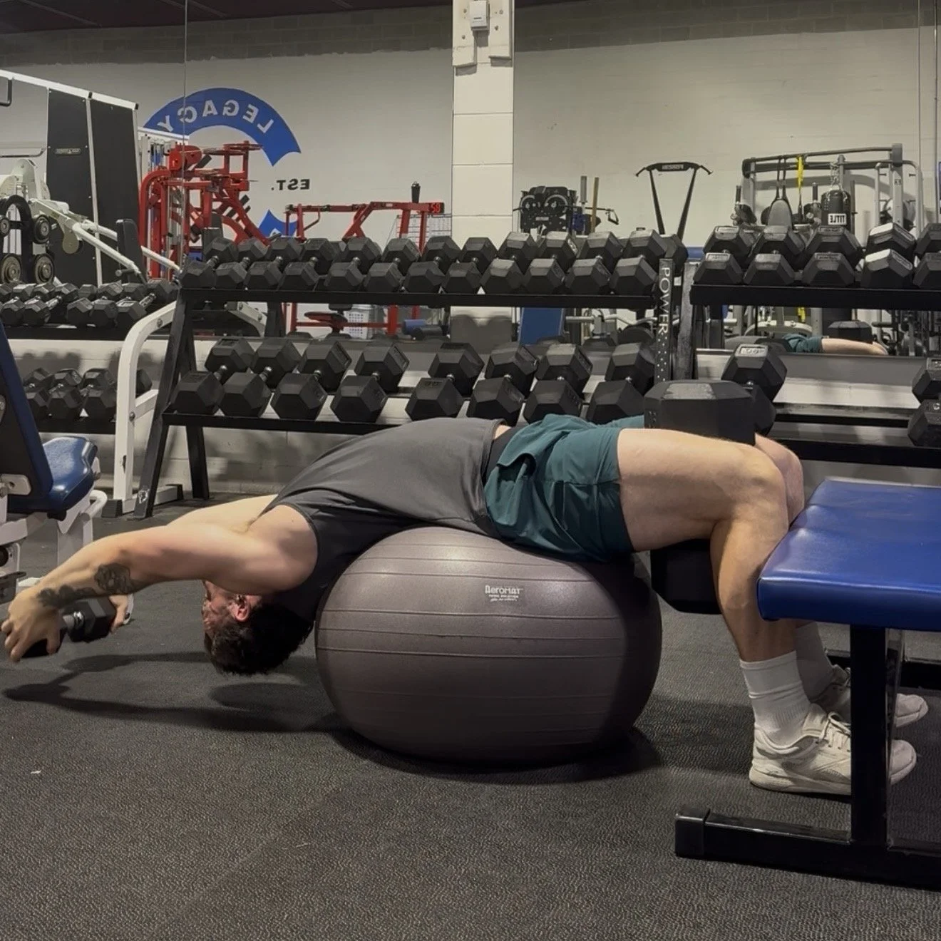 Anti-Spine — mobility and core training