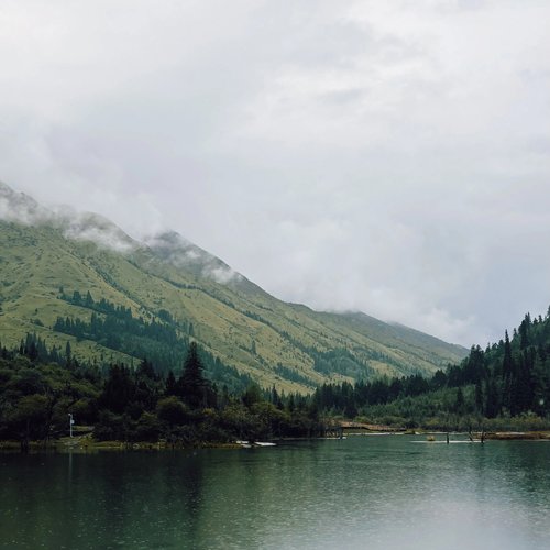 Opportunities for Nature-Loving Artists