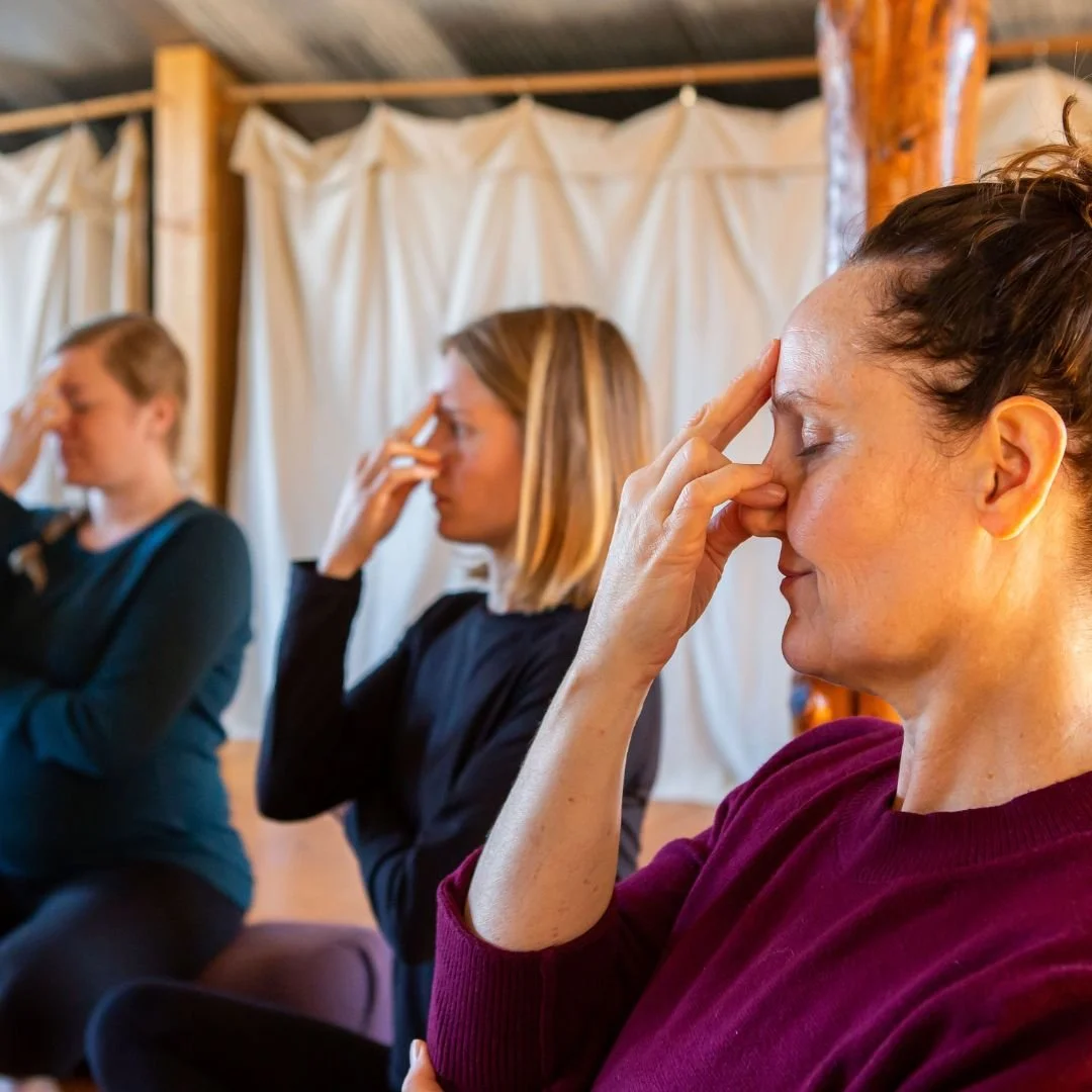 300-Hour Yoga Teacher Training practice
