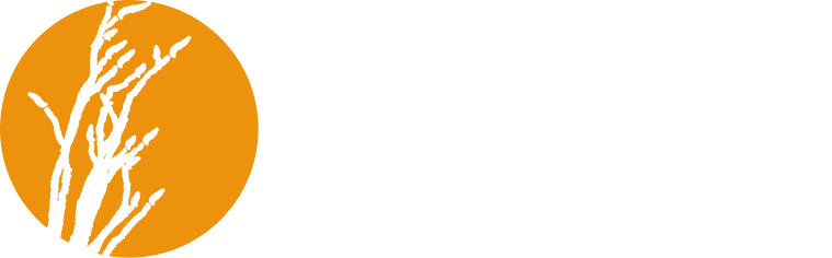 Ocotillo Solar Electric