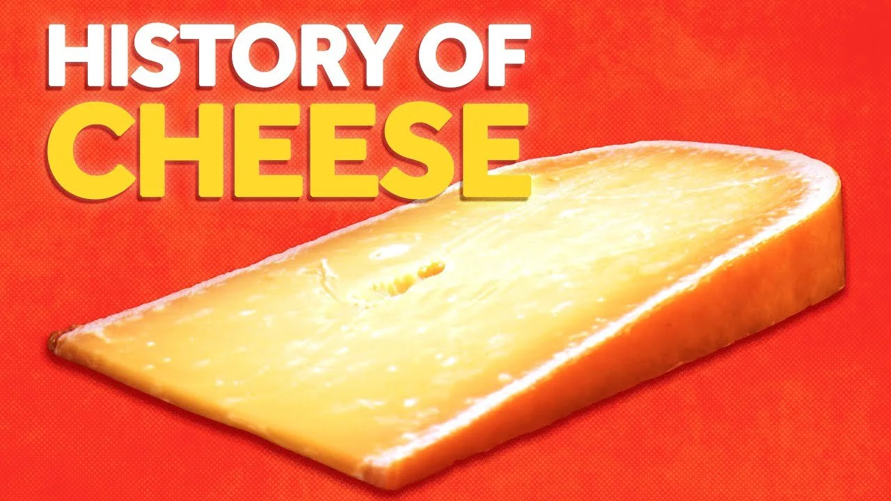 Where is cheese. чак и чиз логотип. Where is cheese. старый амстердам сыр. линейка gappy diet cheese.