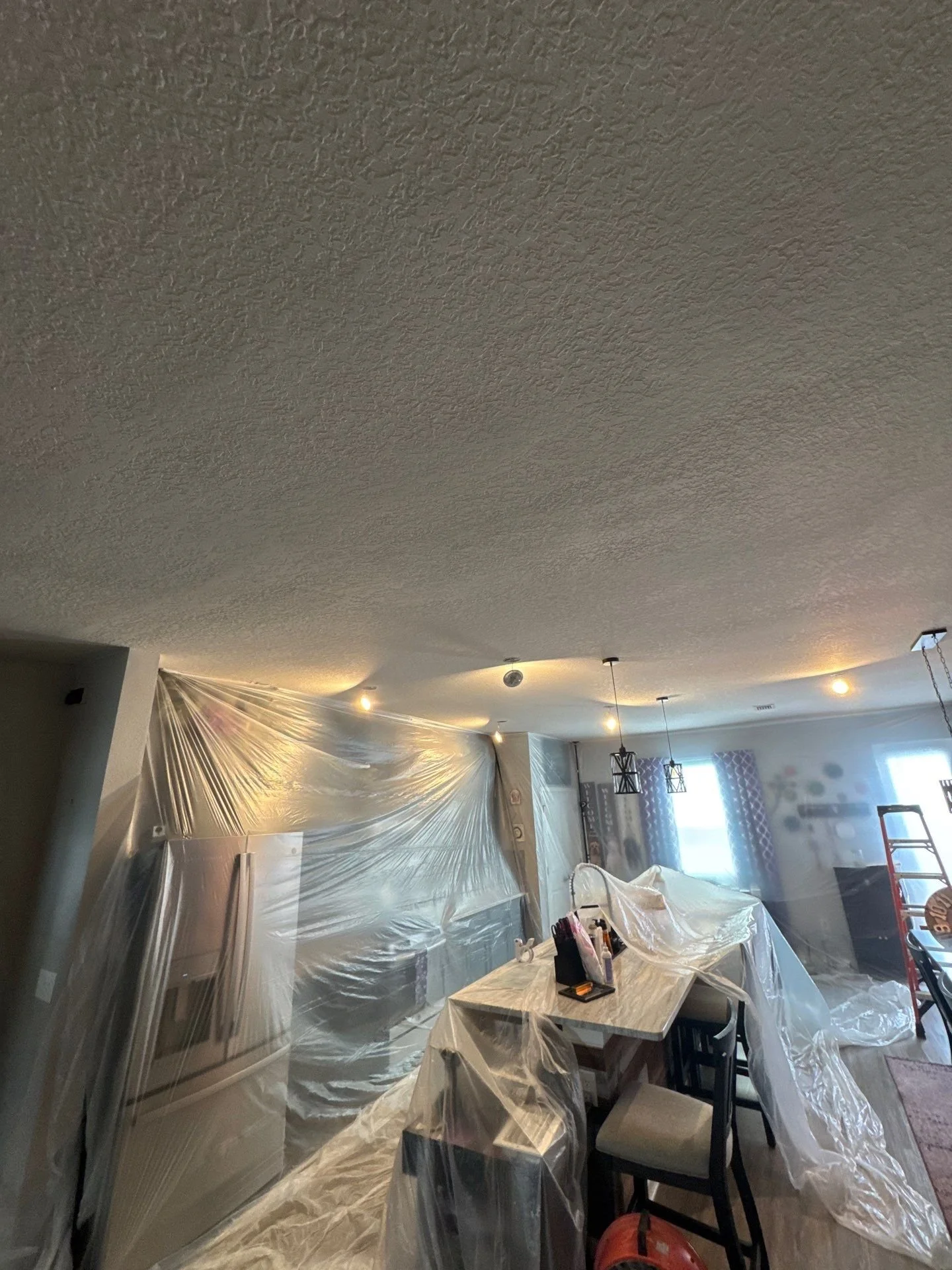 Actual DCI jobsite with furnishings, cabinetry and adjacent areas protected during remodeling