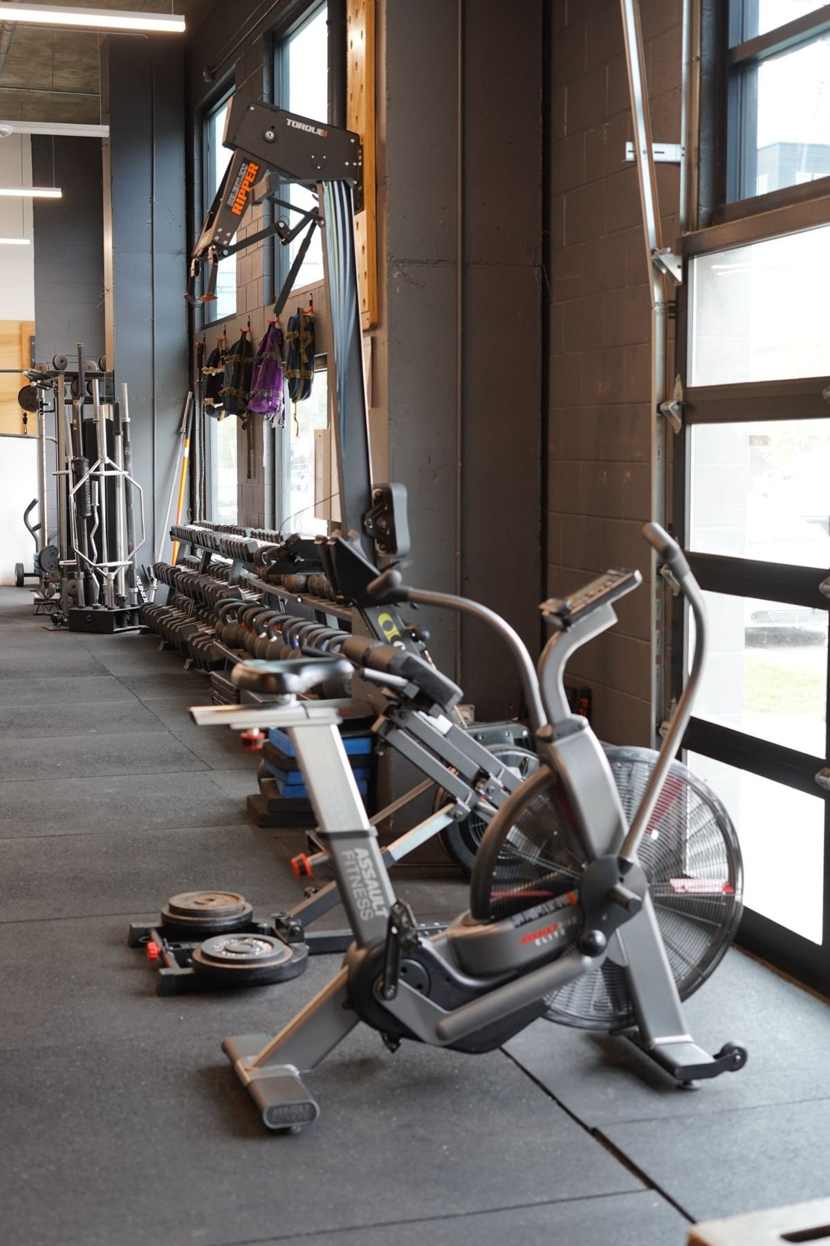Assault bike, ski machine, dumbbells and specialty bars along the windows