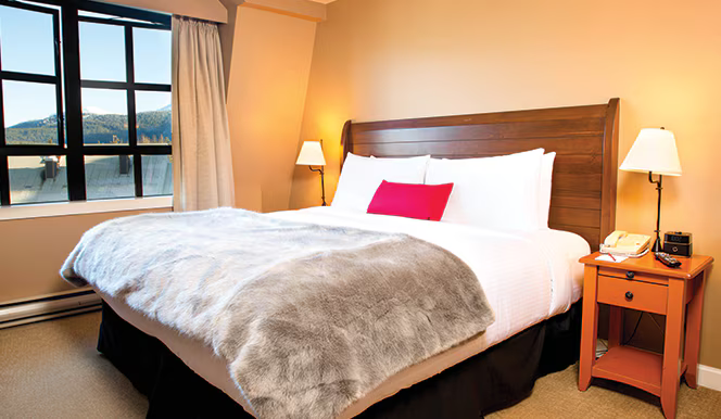 Suite Image 4