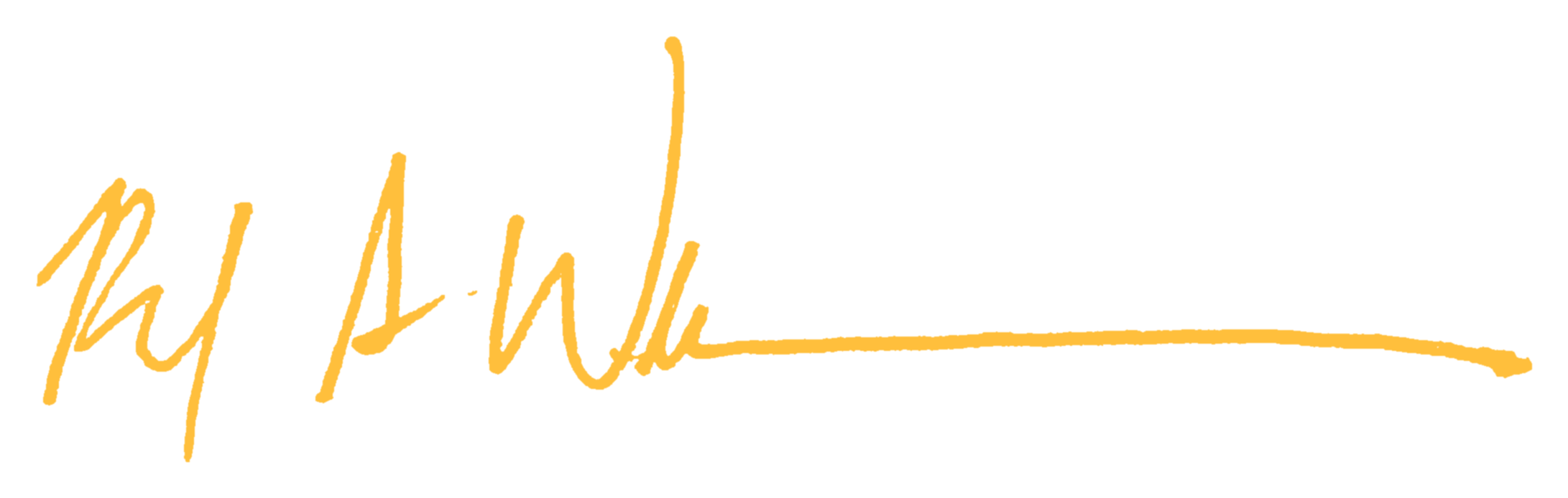 Robert Williamson signature